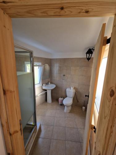 a bathroom with a toilet and a sink at Aprosmeno Jacuzzi House 4 in Agros