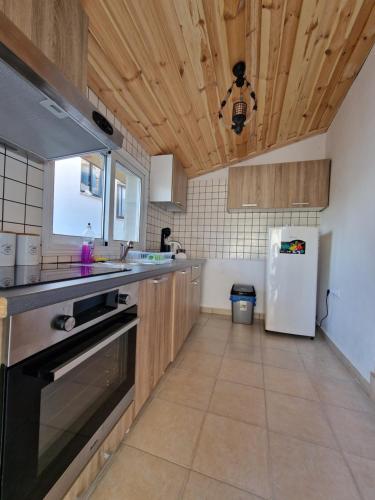 a kitchen with wooden ceilings and a white refrigerator at Aprosmeno Jacuzzi House 4 in Agros