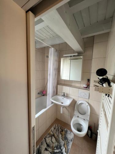 La salle de bains est pourvue de toilettes et d'un lavabo. dans l'établissement Get Cozy Flat Zürich, à Zurich