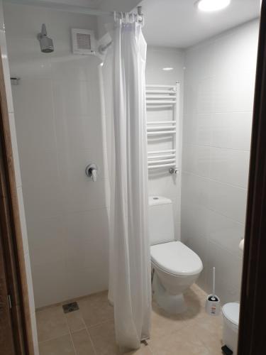 La salle de bains blanche est pourvue d'une douche et de toilettes. dans l'établissement Casa Maia, à Cârţişoara