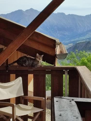 a cat sitting on a wooden table with a chair at Chalet Hôtel Les Blancs in Pra-Loup
