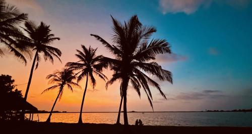 two palm trees on a beach at sunset at Wind Blend Kite Resort in Kalpitiya