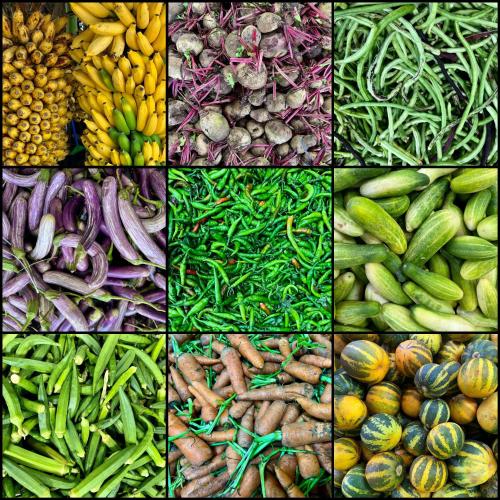 a collage of pictures of different fruits and vegetables at Wind Blend Kite Resort in Kalpitiya