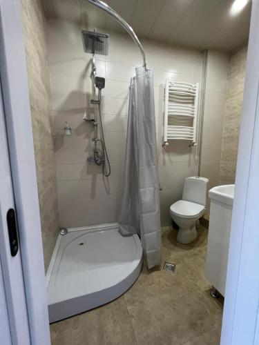 a small bathroom with a toilet and a shower at Guest House Lali in Sighnaghi