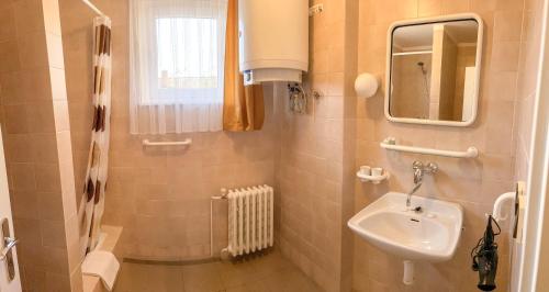 a small bathroom with a sink and a mirror at Ubytování Kubantovi in Prague