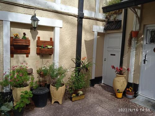 un grupo de plantas en macetas sentadas fuera de un edificio en Villa Lidia en Mar del Plata