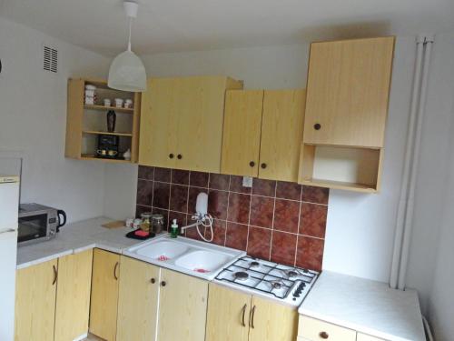 a small kitchen with wooden cabinets and a sink at Apartament 88 in Kraków