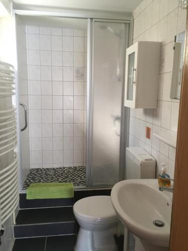 y baño con ducha, aseo y lavamanos. en Ferienwohnung Pölkentor, en Quedlinburg