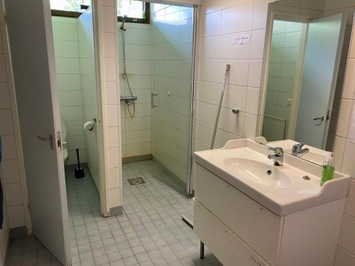 a bathroom with a sink and a shower and a mirror at Kokemäen opisto in Kokemäki