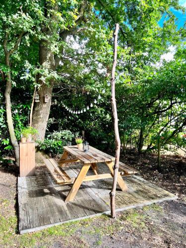 a wooden picnic table with a small tree next to it at Lodgetent Holterberg in Holten