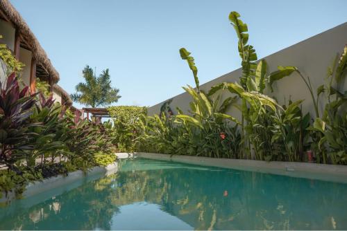 a swimming pool in front of a house with plants at Puerta del Cielo Hotel Origen in Bacalar
