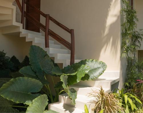 a staircase with a large leafy plant next to it at Puerta del Cielo Hotel Origen in Bacalar