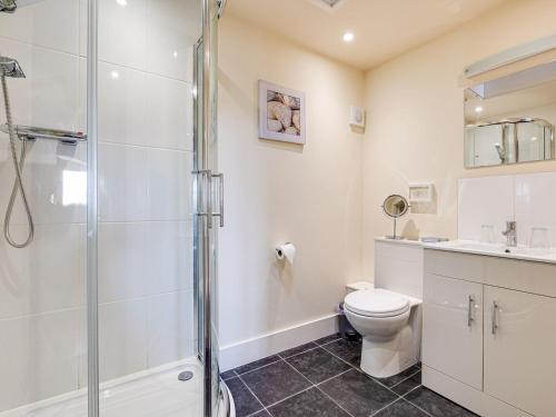 a bathroom with a shower and a toilet and a sink at The Dairy - Uk10957 in Burlton
