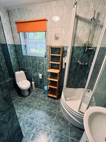 a bathroom with a shower and a toilet and a sink at Zielony Dom in Węglówka