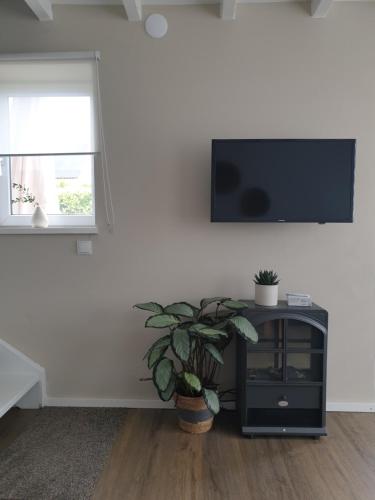 a living room with a tv on a wall with a plant at Maisonnette Slijkplaat 18 in Hoofdplaat