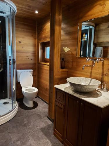 a bathroom with a sink and a toilet and a shower at Appartement vouté en Gruyère dans l'Intyamon in Enney