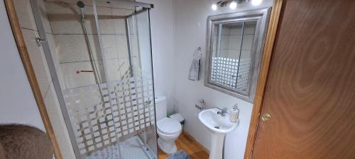 a bathroom with a shower and a toilet and a sink at Cabañas camelia2 in Puerto del Yate