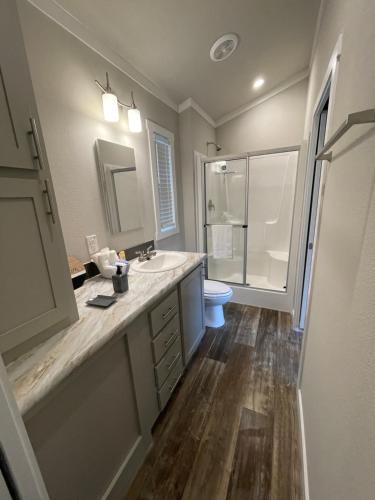 a bathroom with a sink and a toilet and a mirror at Charming New 1-BA/1-BR Home on an 60 Acre Property (Sleeps Up To 4) in Sardis