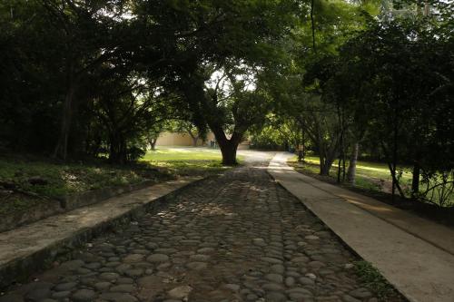 a cobblestone road with trees on either side at Hotel Carrizal Spa in Apazapan