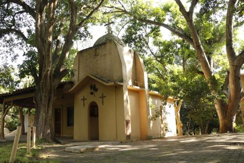 an old church with a tree in front of it at Hotel Carrizal Spa in Apazapan