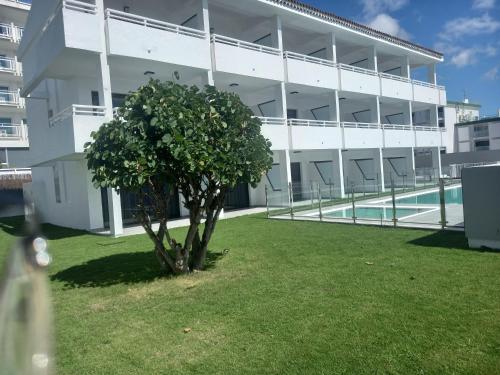 un árbol frente a un edificio con piscina en Apartamentos Marivista, en Playa del Inglés