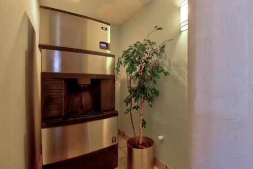 a potted plant in a room with a fireplace at Ramada by Wyndham Oklahoma City Airport North in Oklahoma City