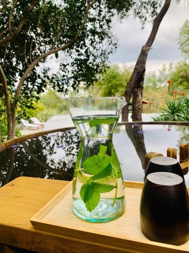 a vase with a plant in it on a table at KURALEMU Casa de Campo in Curacaví