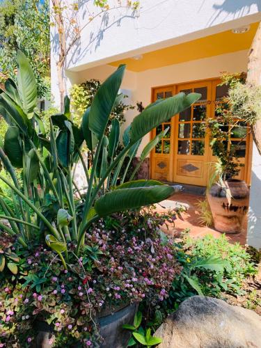 a garden in front of a house with plants and flowers at KURALEMU Casa de Campo in Curacaví
