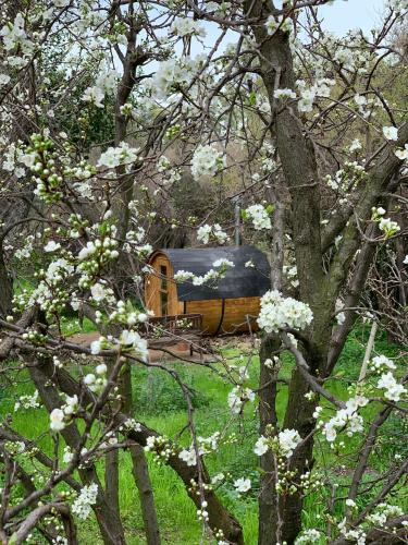 a tree with white flowers in front of a wooden cabin at KURALEMU Casa de Campo in Curacaví