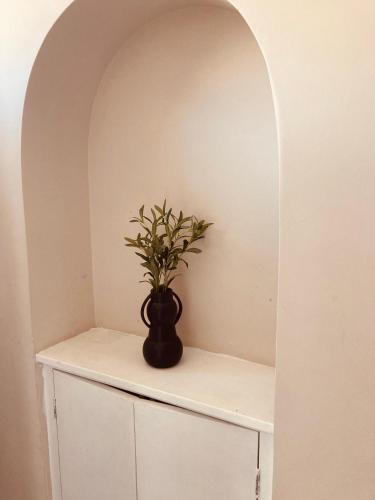 um vaso sentado numa prateleira com uma planta em 'Bloomfield' at stayBOOM em Lancaster