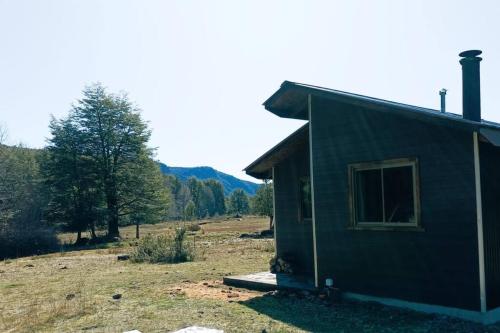 una piccola casa in un campo vicino a una foresta di Cabaña Los Chilcos a Curacautín