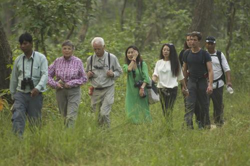 a group of people walking through a forest at Green Mansions Jungle Resort in Sauraha