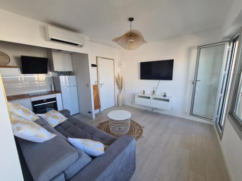 Un televizor și/sau centru de divertisment la Appartement lumineux avec vue sur mer a 50 m de la plage et du centre