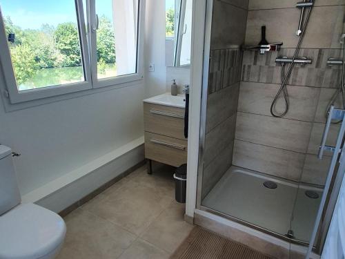a bathroom with a shower and a toilet and a sink at Gîte familial avec piscine privative chauffée, terrasse sur le Loir et proche du Zoo de La Flèche - FR-1-410-329 in La Flèche