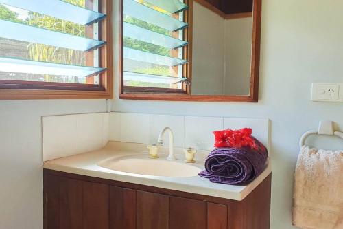 a bathroom with a sink and a mirror at Aore Hibiscus Retreat in Aimbuei Bay