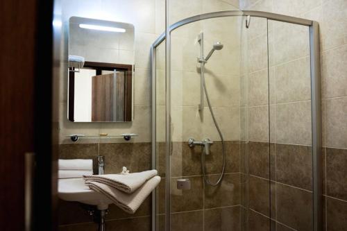 uma casa de banho com um chuveiro e um lavatório. em Dzūkijos dvaras em Alytus