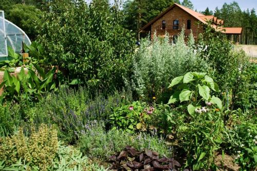 a garden with many different types of plants at Dzūkijos dvaras in Alytus