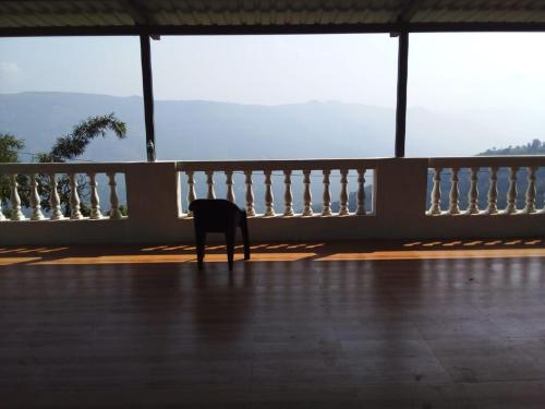 a dog standing on a floor looking out of a balcony at Kavyam Villa in Mahabaleshwar