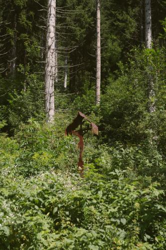 a person carrying a skateboard in the woods at Lärchenwirt Dolomites in San Nicolò di Comelico