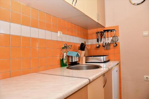 a kitchen with a sink and an orange tiled wall at Vikendica za odmor Raduša in Tešanj