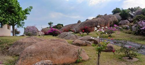 Fotografie z fotogalerie ubytování Mdzimba Mountain Lodge v destinaci Ezulwini