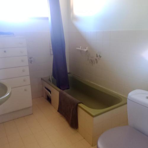 La salle de bains est pourvue d'une baignoire avec un rideau bleu. dans l'établissement Maison aigueleze au bord du tarn, à Rivières