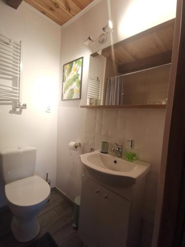 a bathroom with a white toilet and a sink at Agrochalupki in Korczowe