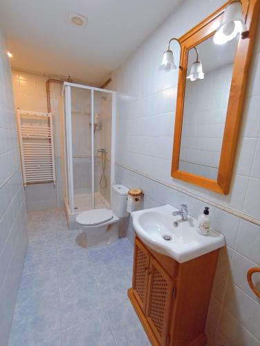 W łazience znajduje się umywalka, toaleta i lustro. w obiekcie El Rincón del Sanabrés, Hermana Menor, petfriendly w mieście Rascafría