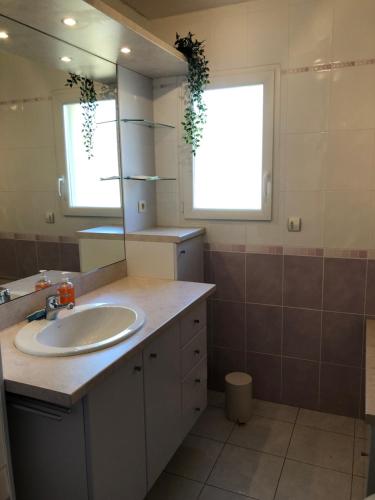 La salle de bains est pourvue d'un lavabo et d'un miroir. dans l'établissement Maison Le Bel Air à 3km du virage de Mulsanne 9 couchages, à Ruaudin