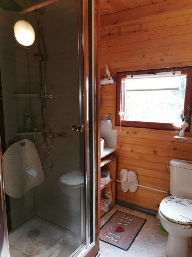 a bathroom with a shower and a toilet at Ferienhaus mit mediterraner Terrasse in Müllrose
