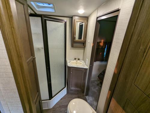 a small bathroom with a toilet and a sink at American Rv - Dog friendly - Peaceful location in Sutton on Sea