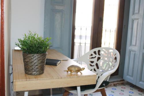 a table with a turtle sitting on top of it at Caserón Centenario in Cehegín