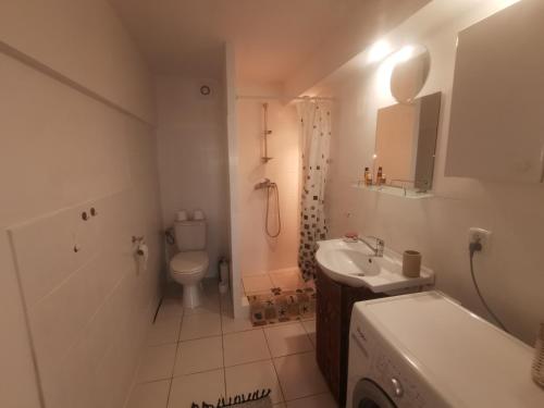 een kleine badkamer met een toilet en een wastafel bij Buglandia 