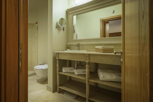 a bathroom with a sink and a mirror and a toilet at La Boheme Boutique Casa Soare in Bucharest
